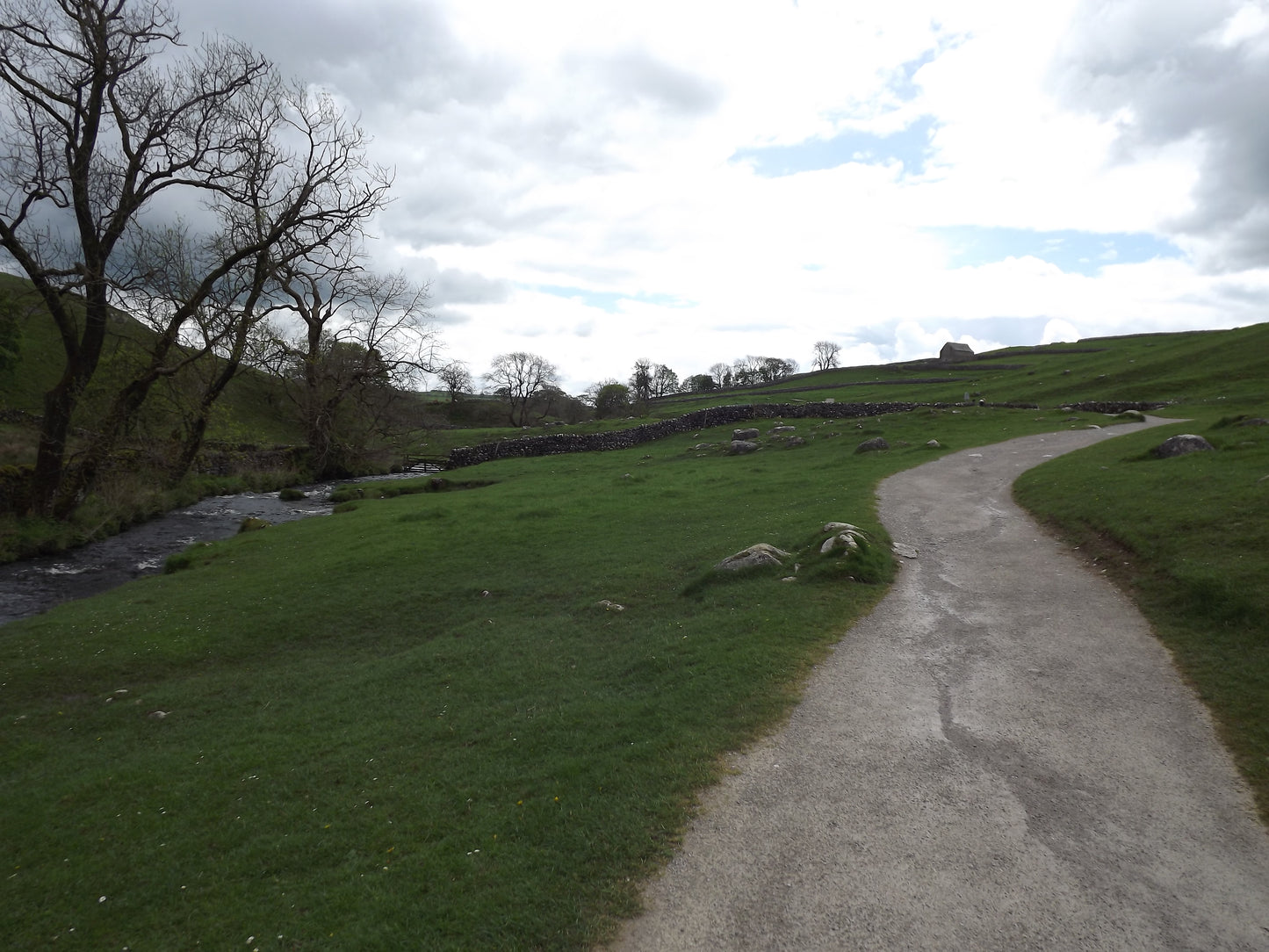 Images Of Woodlands, Fields and Floral Displays Photo Prints