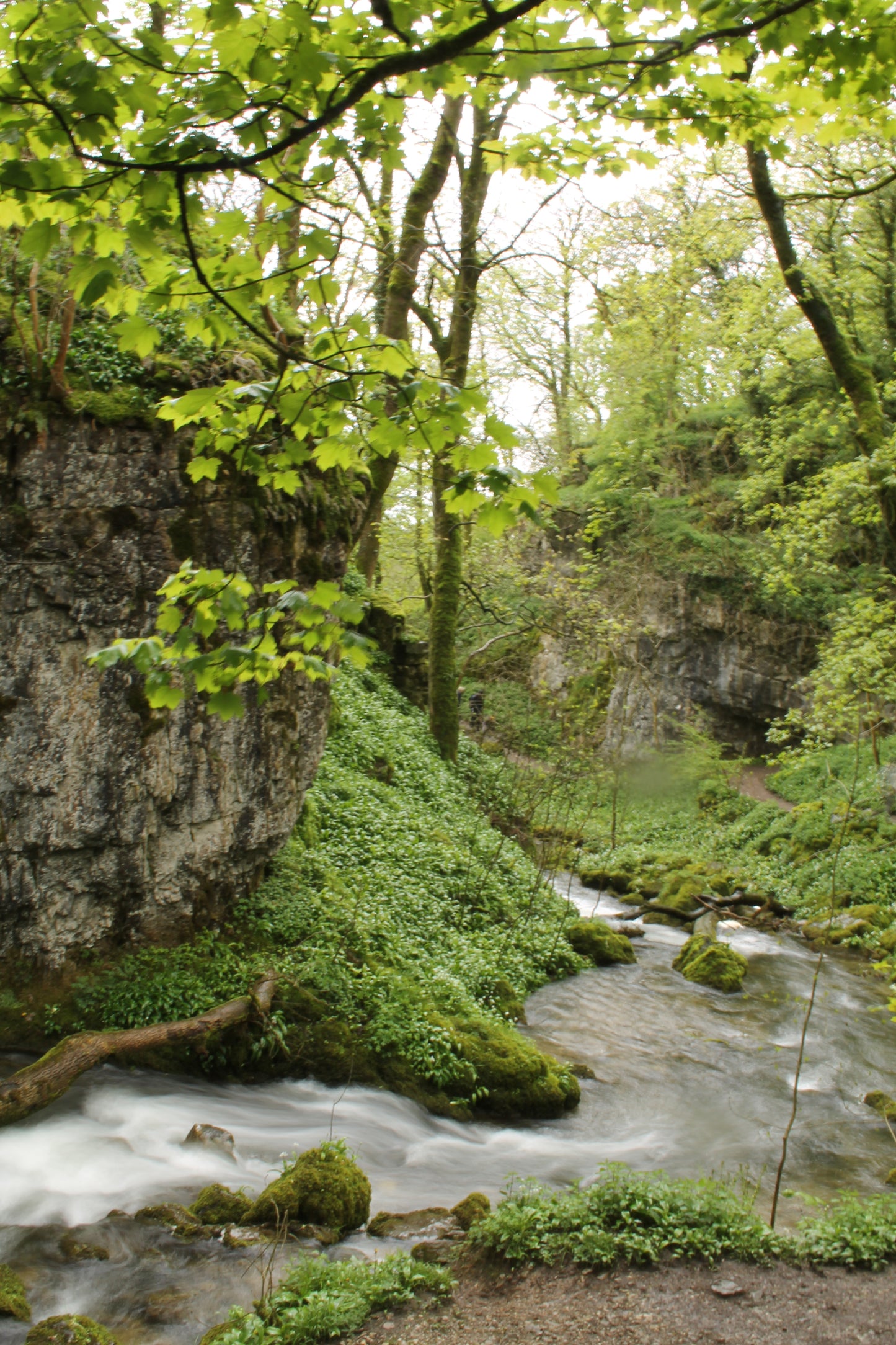 Images Of Waterfalls And Rivers UK Photo Prints