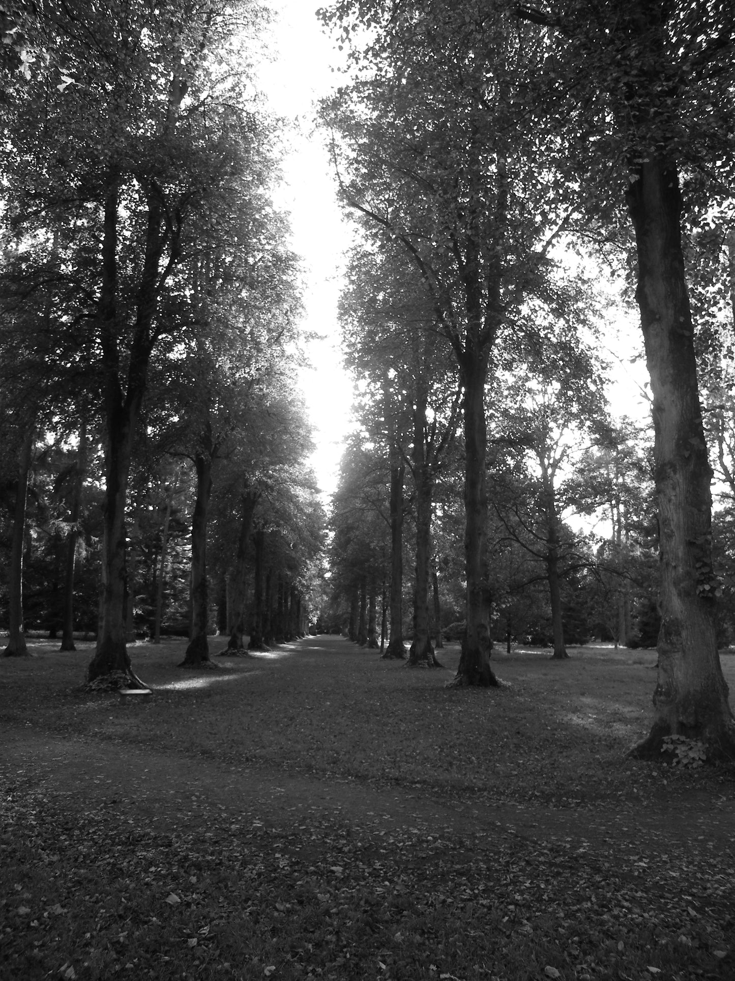 Images Around Gloucestershire Prints