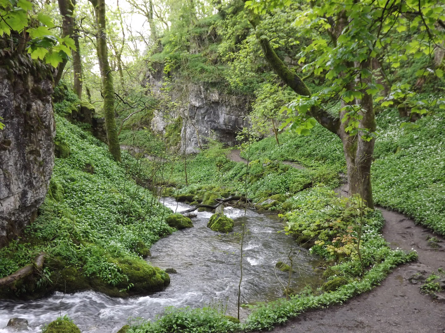 Images Of Waterfalls And Rivers UK Photo Prints