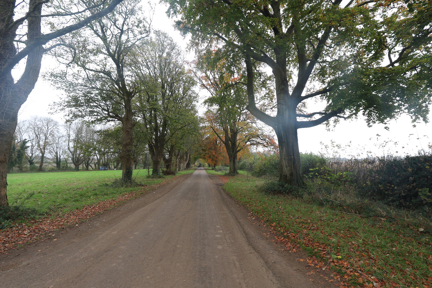 Images Around Gloucestershire Prints