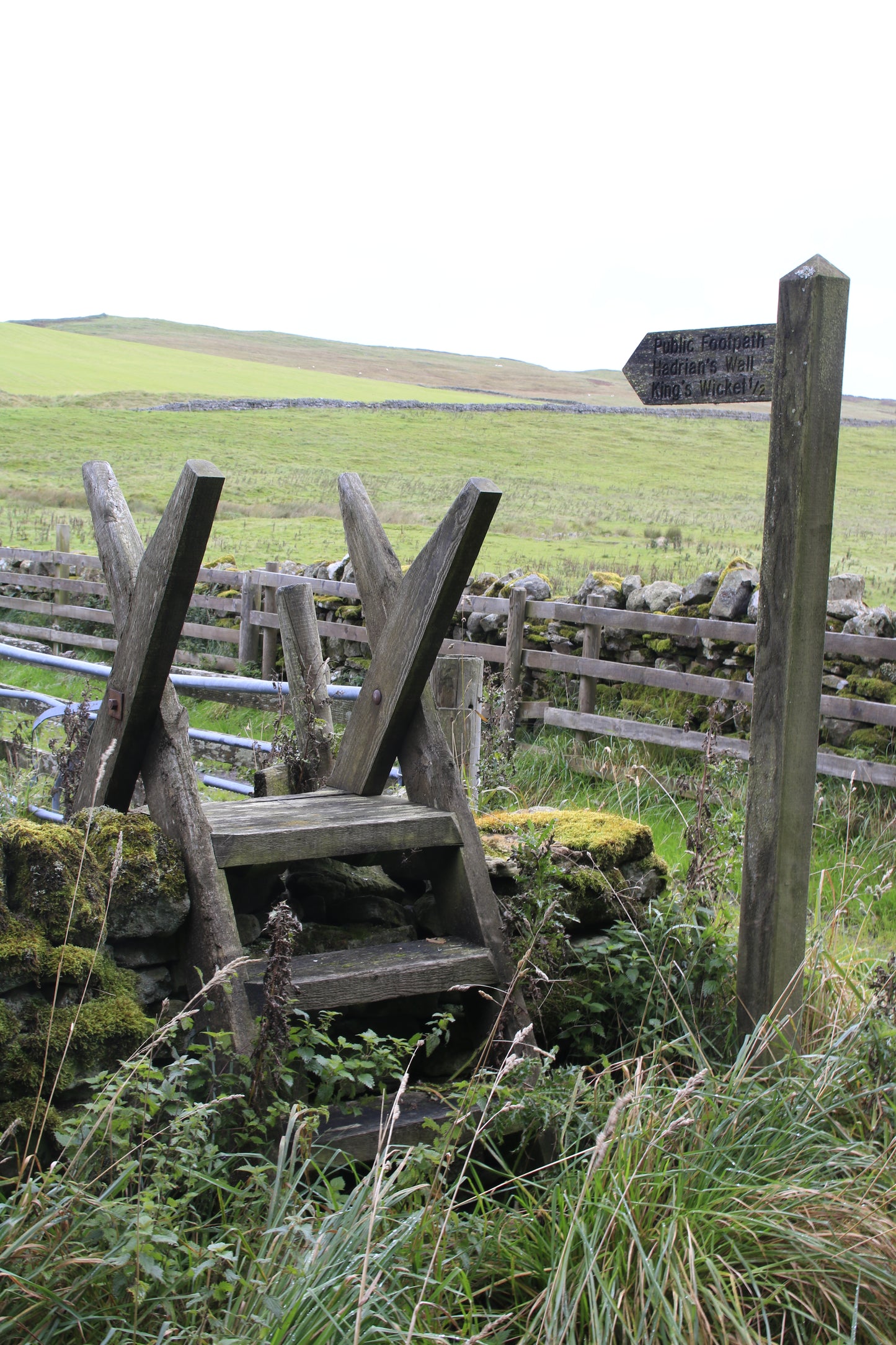 Images Around Northumberland Photo Prints