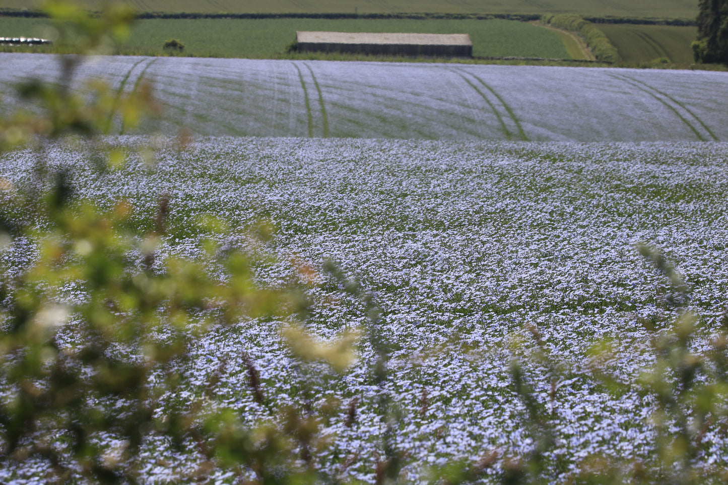 Images Of Woodlands, Fields and Floral Displays Photo Prints