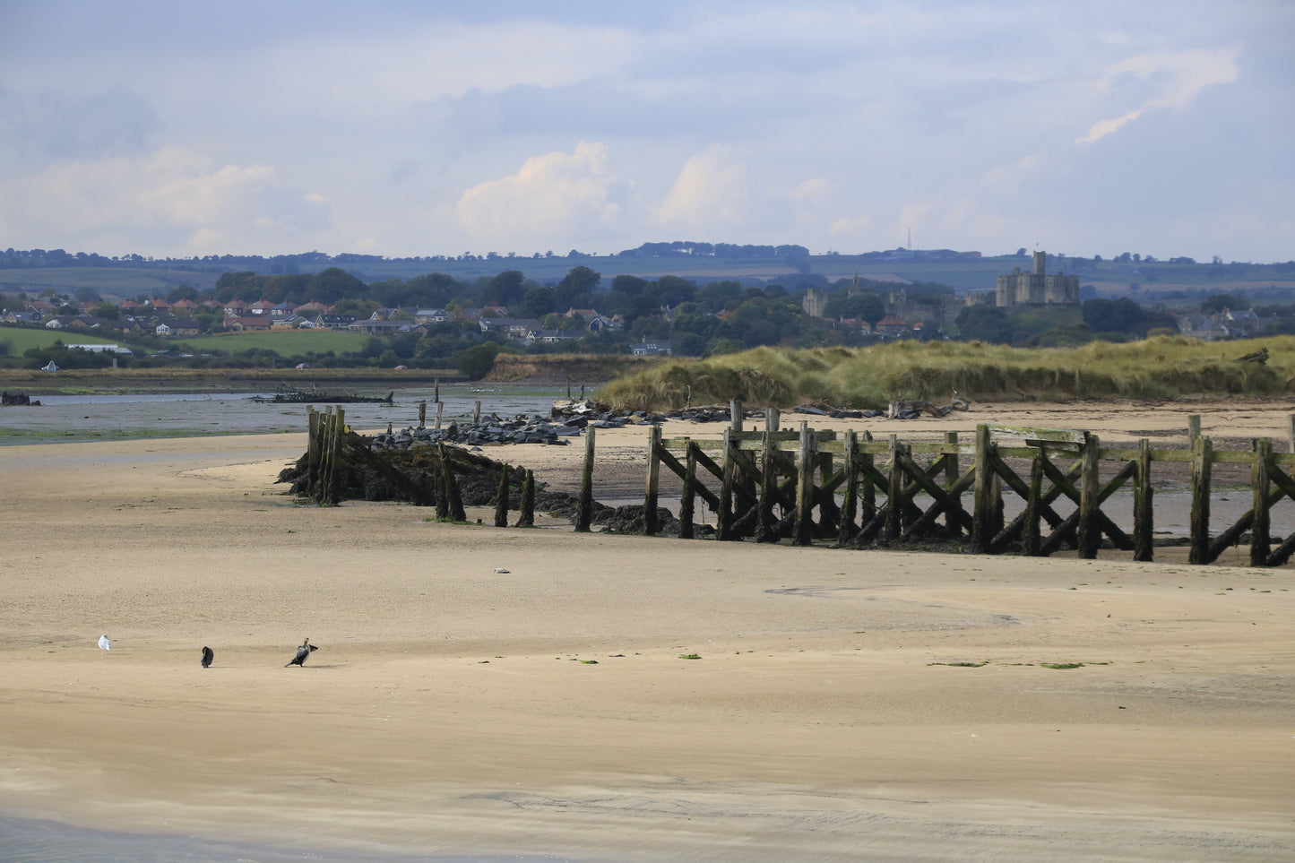 Images Around Northumberland Photo Prints