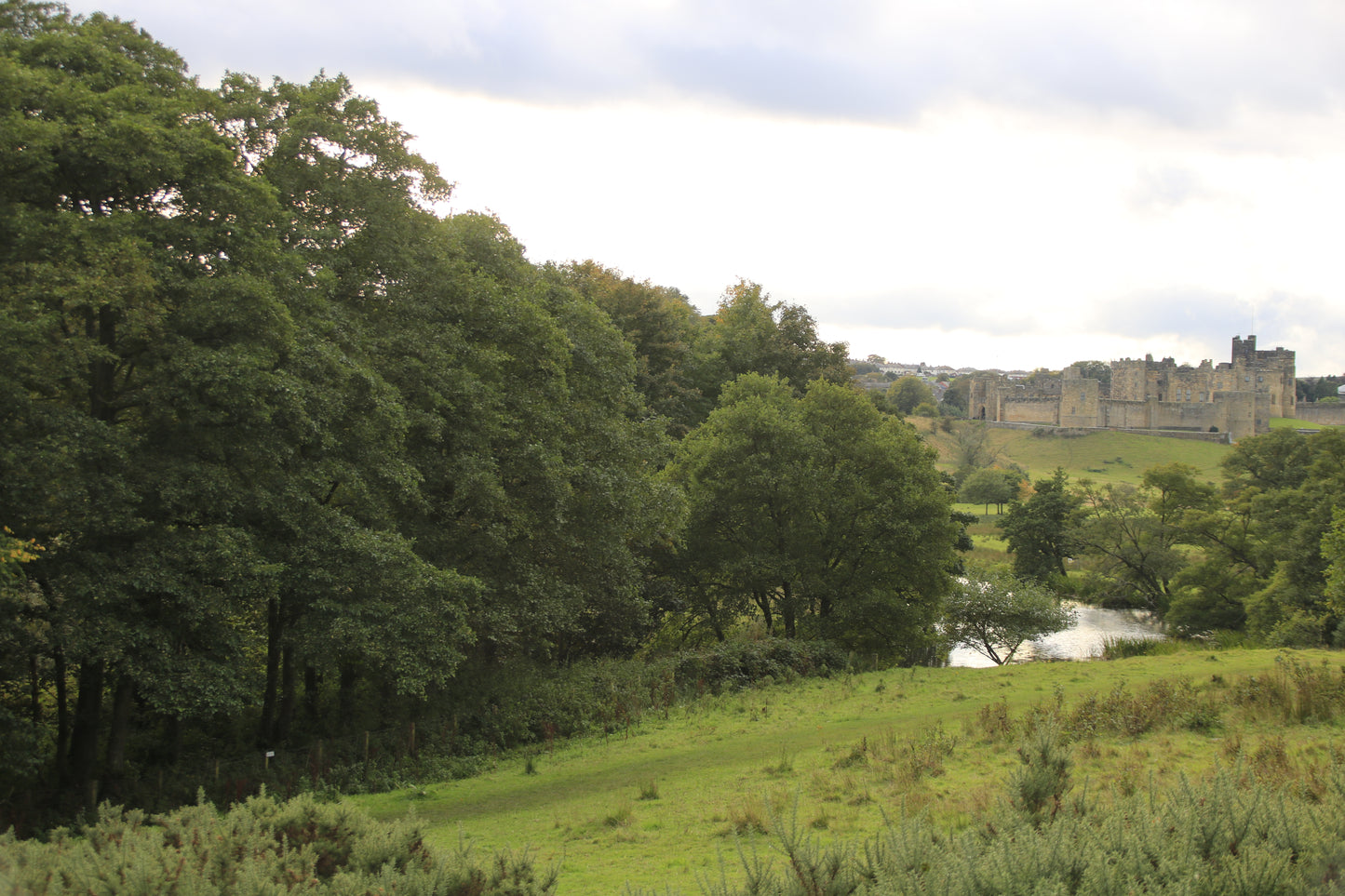 Images Around Northumberland Photo Prints