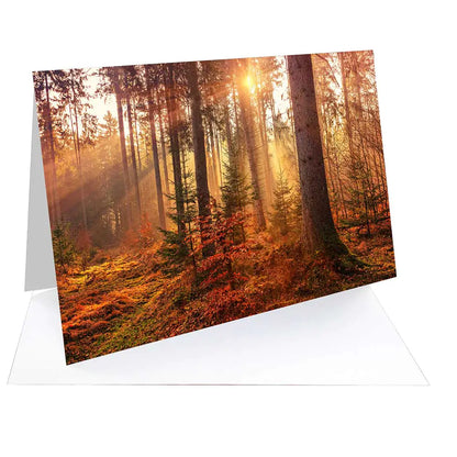Fotospeed Platinum Gloss Art Fibre 300 Printable Photo Paper Blank